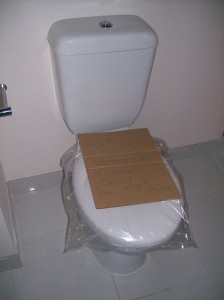 Main Bathroom Toilet